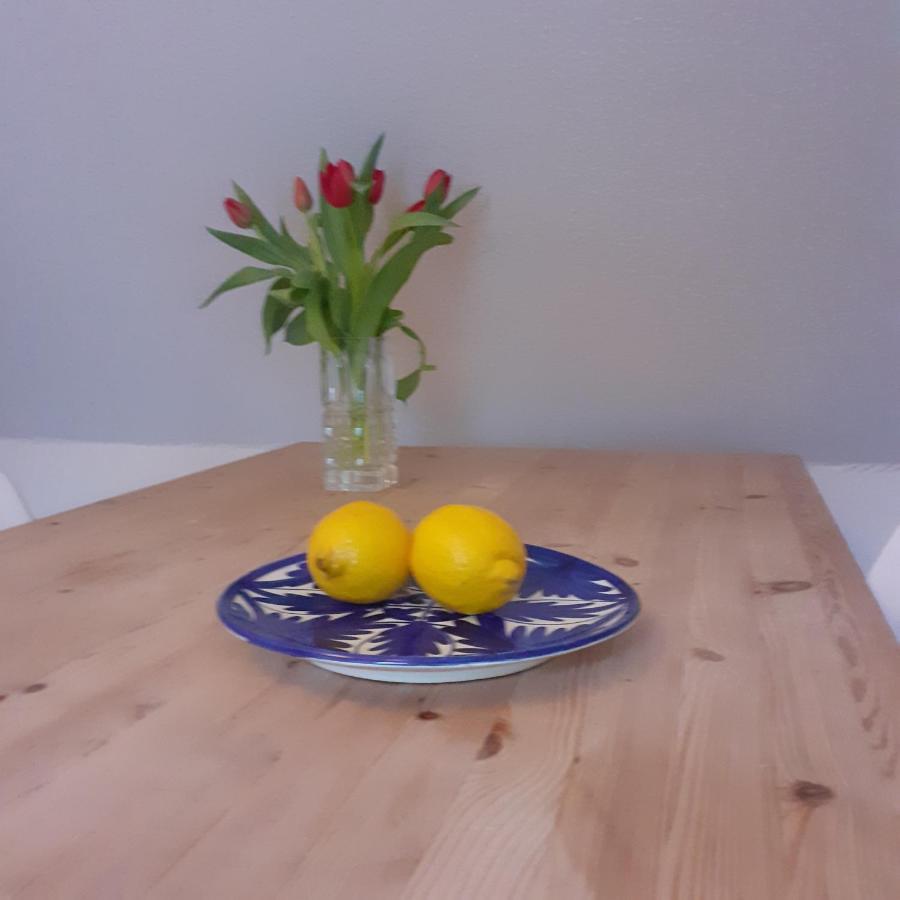 Solyst Apartment Silkeborg Bagian luar foto